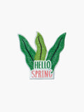 Hello Spring Patch